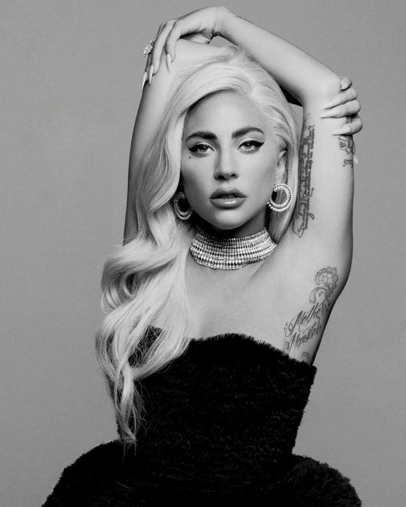 Lady Gaga strikes a pose